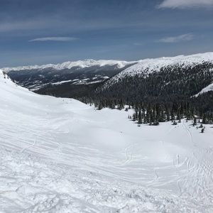 Meet your Posher, Katelyn